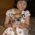 Tequilla Kenzo Kennel