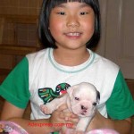 Tequilla Kenzo Kennel
