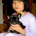 Tequilla Kenzo Kennel